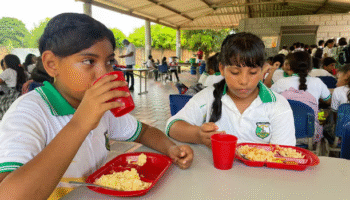 Más de tres millones de niños afectados por la falta del Programa de Alimentación Escolar