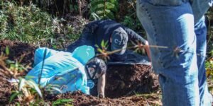 La salvaje forma en que las disidencias de las Farc están matando a niños en el Cauca: hay fosas hasta de diez cuerpos