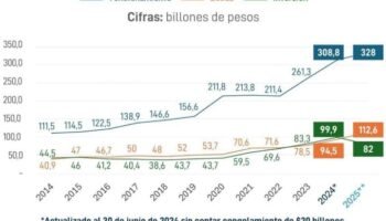 Grafica presupuesto 2025