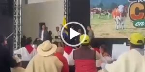 El cinismo de un derrotado