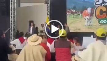 El cinismo de un derrotado