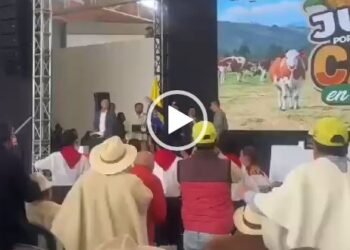El cinismo de un derrotado