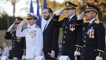 Es la ley, estúpidos