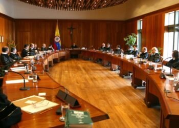 Colombia. Tras la liberalización del aborto hasta las 24 semanas por la Corte Constitucional, casi 155.000 niños han sido asesinados en el vientre de sus madres