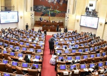 EL OFICIALISMO NECESITARÍA SUMAR MÁS DE 20 VOTOS QUE NO SE SABE DE DÓNDE SALDRÍAN