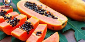 Res non verba – El undécimo mandamiento es: “¡No dar Papaya!”