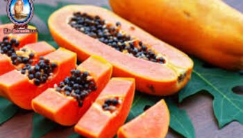 Res non verba – El undécimo mandamiento es: “¡No dar Papaya!”
