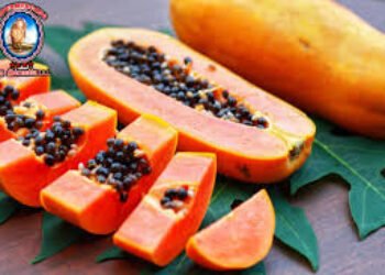 Res non verba – El undécimo mandamiento es: “¡No dar Papaya!”