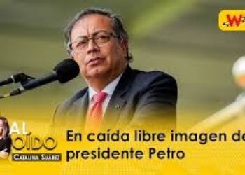 La verdadera consulta