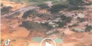 Que tal? Devastador paso de la minería ilegal