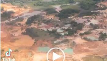 Que tal? Devastador paso de la minería ilegal