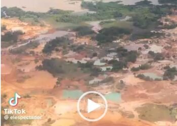 Que tal? Devastador paso de la minería ilegal