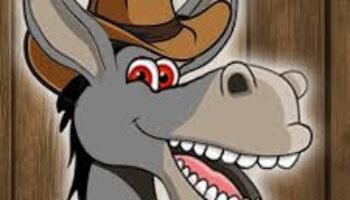 COMO UN BURRO SOBRE UN POSTE
