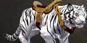 ¿Cómo desmontarse del tigre?