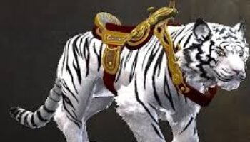 ¿Cómo desmontarse del tigre?