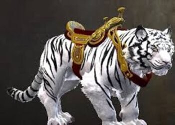 ¿Cómo desmontarse del tigre?