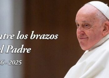 ¿Francisco ha sido un buen papa? No, porque ha confundido más que aclarado
