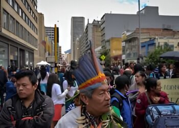Es hora de investigar a fondo el CRIC y la ONIC