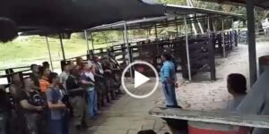 ¿Esta es la paz total o la guerra total?