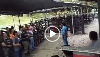 ¿Esta es la paz total o la guerra total?