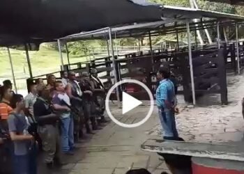 ¿Esta es la paz total o la guerra total?