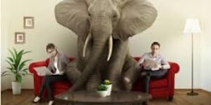 El “elefante en la habitación” que ve el Bank of America en el gobierno de Gustavo Petro