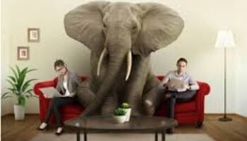 El “elefante en la habitación” que ve el Bank of America en el gobierno de Gustavo Petro