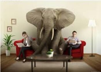 El “elefante en la habitación” que ve el Bank of America en el gobierno de Gustavo Petro
