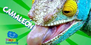 El regreso del camaleón
