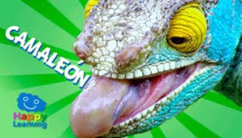 El regreso del camaleón