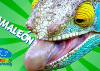 El regreso del camaleón