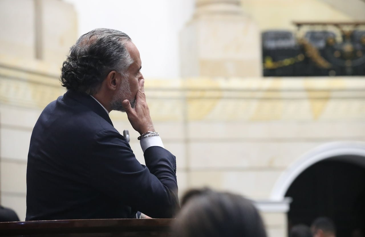 Plenaria Senado, consulta popular