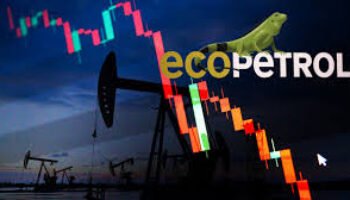 Por el gas y el petróleo ¿Quién responde?