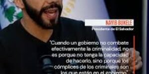 Grave daño a la democracia
