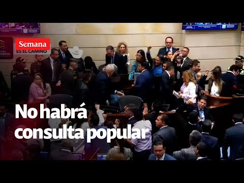 Urgente: Senado hunde la consulta popular del Gobierno