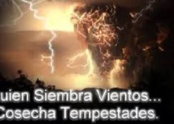 Res non verba – ¿Empezó la cosecha? | Tomás Castrillón Oberndorfer