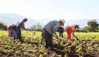 Crecimiento y realidad rural