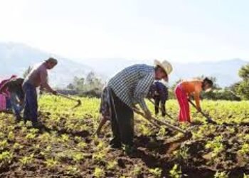 Crecimiento y realidad rural
