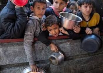 Alerta de hambruna en Colombia afectaría a 7,8 millones de personas por la violencia, según la ONU