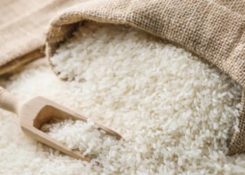 Arroceros irán a paro nacional por caída de precios y falta de respuesta del Gobierno