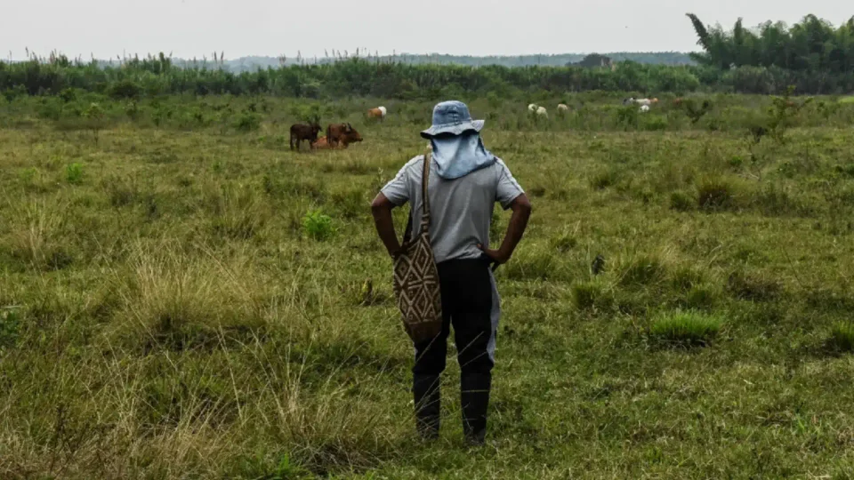 Millonarias irregularidades en la Unidad de Restitución de Tierras