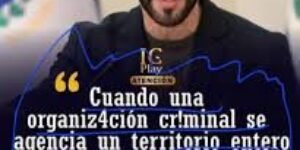 El país de la fábula Petrofarsante | Luis Guillermo Echeverri Vélez