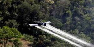 ¿Sin coca no hay paraíso?