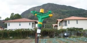 Los subsidios agrícolas