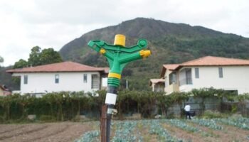 Los subsidios agrícolas
