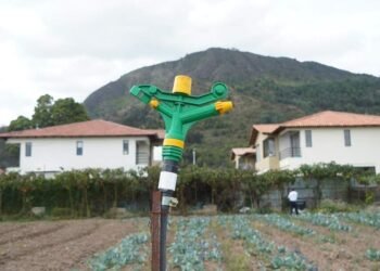 Los subsidios agrícolas