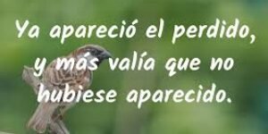 Res non verba – Las apariciones del perdido | Tomás Castrillón Oberndorfer