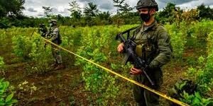 Drogas ilícitas: ¡Es la oferta, estúpido!