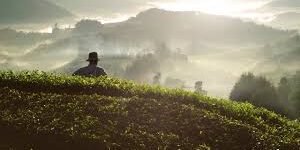 Reinventar a Colombia