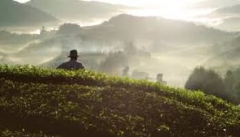 Reinventar a Colombia